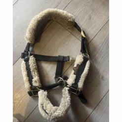 licol poney*Kentucky Clearance