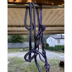 Licol + longe*Kramer Sale