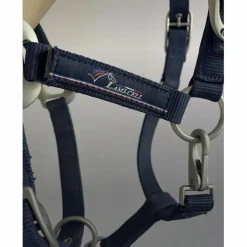 Licol e*Lamicell Sale
