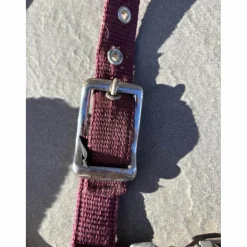 Licol moumoute bordeaux*Time Rider New