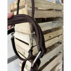 Licol*Norton Clearance