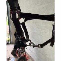 Licol*Norton Clearance