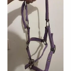licol poulain-shetland mauve à paillettes*Kramer Clearance