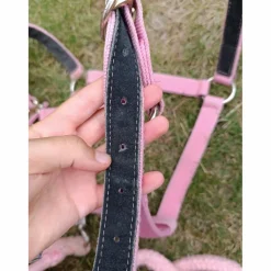 Fouganza Licols Et Longes><noscript><img width=
