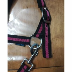 Licol taille poney*Norton Discount