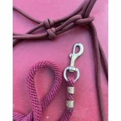 Licol étho + longe*- Marque inconnue - Discount