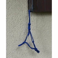 - Marque inconnue - Licols Et Longes>Licol éthologique bleu taille shetland