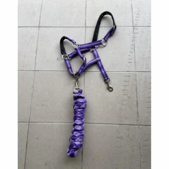 Licol Violet*- Marque inconnue - New