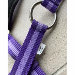 Licol Violet*- Marque inconnue - New