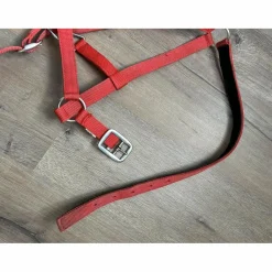 - Marque inconnue - Licols Et Longes>licole simple rouge