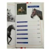- Marque inconnue - Livres>Livre chevaux et poneys