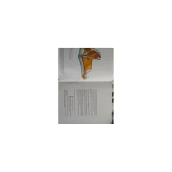 livre galop 5 à 7*- Marque inconnue - Hot