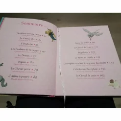 Livre mes 15 plus belles histoires de chevaux*- Marque inconnue - New
