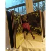 Paddock Sport Livres>Livre sur les chevaux
