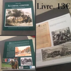 LIVRE sur les chevaux comtois*- Marque inconnue - Discount