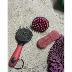 Oster Brosses><noscript><img width=