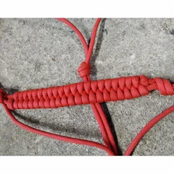 - Marque inconnue - Licols Et Longes>Lot X3 Licol corde mini plusieurs couleurs