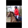 HorsePilot Manteaux, Vestes Et Doudounes>Manteau Horse Pilot