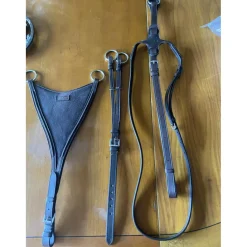 GBS Martingales>Martingale