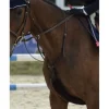 Privilege Equitation Martingales>Martingale
