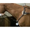 Shire Martingales>Martingale