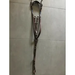 Martingale à anneaux Antarès*Antares Discount