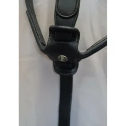 Delgrange Martingales><noscript><img width=