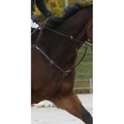 CWD Martingales>Martingale