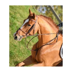 Devoucoux Accessoires><noscript><img width=