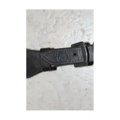 Fouganza Martingales>Martingale havane