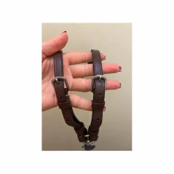 Martingales>Martingale marron - taille cheval.