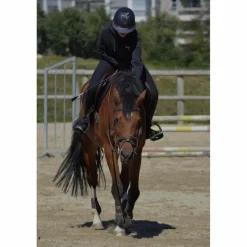 Samshield Casques Et Bombes><noscript><img width=