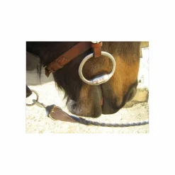- Marque inconnue - Mors Et Embouchures><noscript><img width=