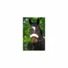 CSO Accessoires>Moumoute protection