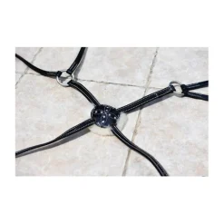 HFI Accessoires>Muserolle croisée Cob