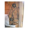 - Marque inconnue - Accessoires>Muserolle croisée noire
