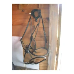 - Marque inconnue - Accessoires>Muserolle croisée noire