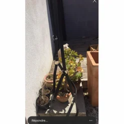 Muserolle croiser*Padd Clearance