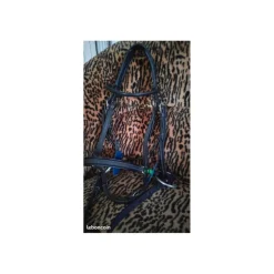 CWD Accessoires><noscript><img width=