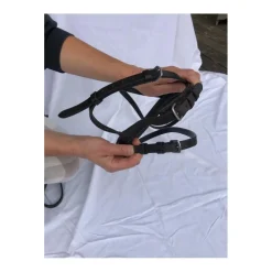 - Marque inconnue - Accessoires>MUSEROLLE en CUIR
