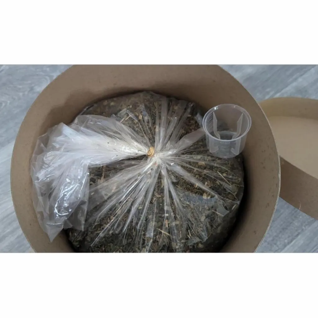 - Marque inconnue - Compléments Alimentaires>Phytomix Drainage + Phytology