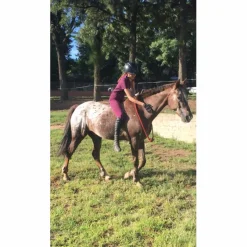 Fouganza Polos / Tshirts Équitation><noscript><img width=