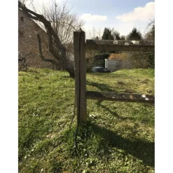 - Marque inconnue - Rênes>reines neuf sans étiquette