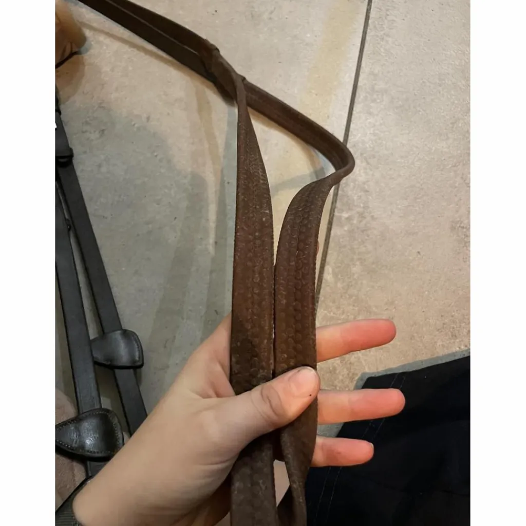 Dy'on Rênes>rênes Dyon