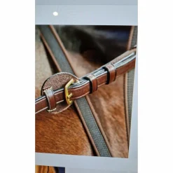 Dy'on Rênes>Rênes / Cheval