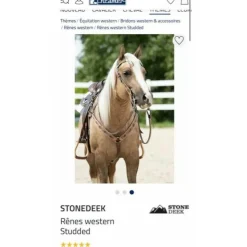 Rênes western*Kramer Sale