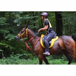 Rênes endurance*Zilco Clearance