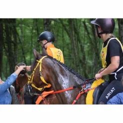 Rênes endurance*Zilco Clearance