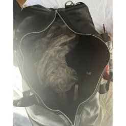 Lemieux Valises><noscript><img width=
