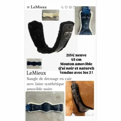 Sangle courte dressage 45 noir*Lemieux Sale